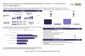 Relatório de Igualdade Salarial 1º Semestre 2024